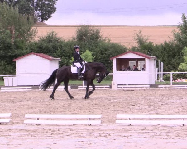 Reitturnier Menden 2019