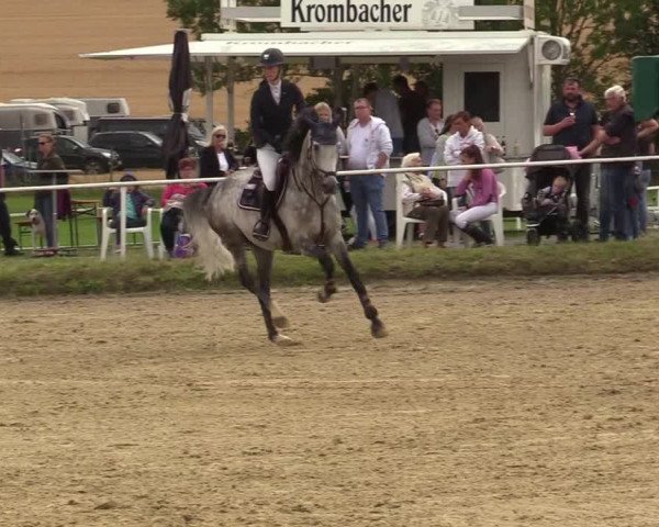 Reitturnier Menden 2019