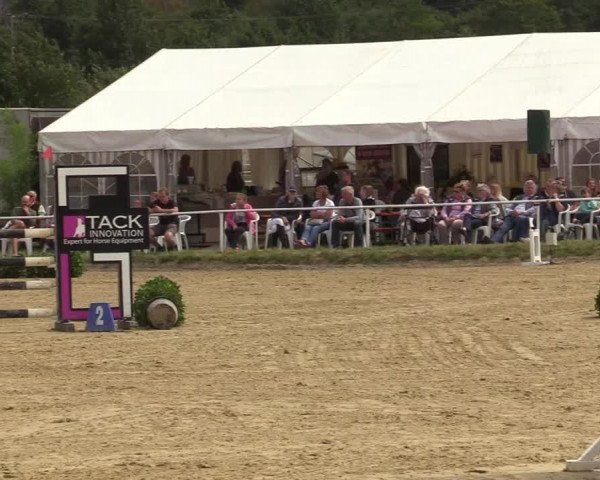 Reitturnier Menden 2019