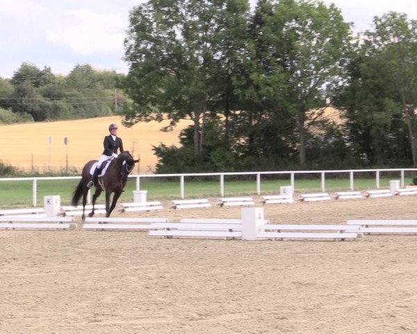 Reitturnier Menden 2019
