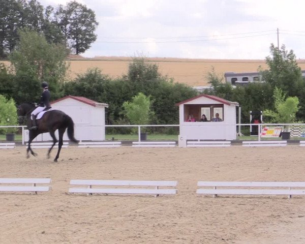 Reitturnier Menden 2019