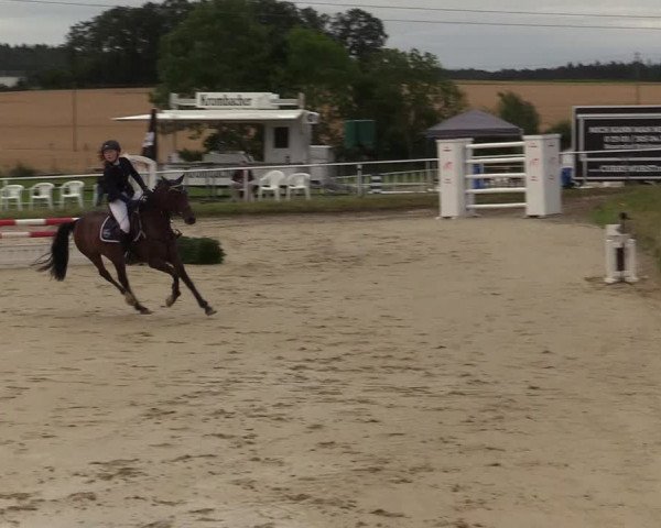 Reitturnier Menden 2019