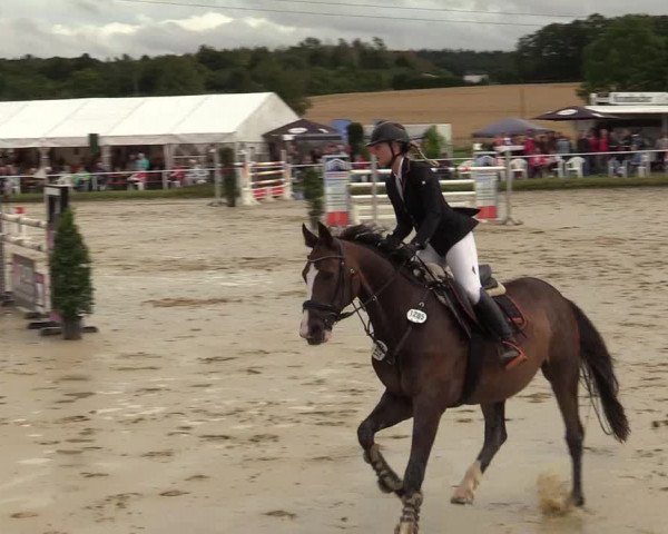 Reitturnier Menden 2019