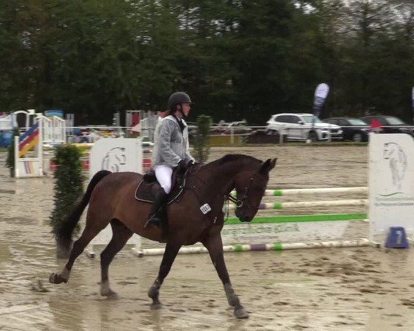 Reitturnier Menden 2019