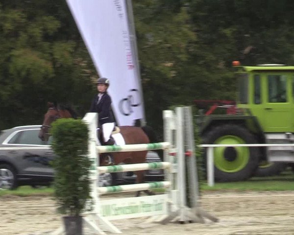 Reitturnier Menden 2019