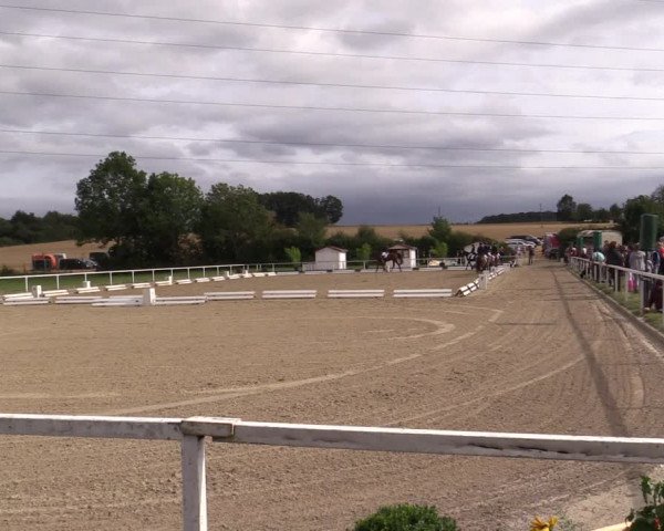 Reitturnier Menden 2019