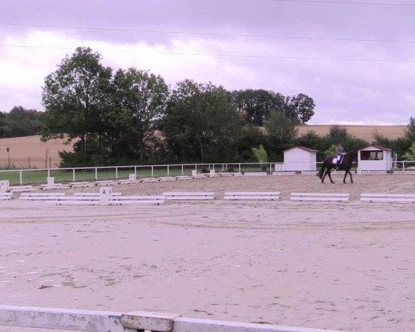 Reitturnier Menden 2019
