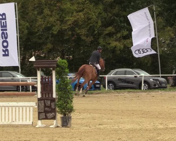 Reitturnier Menden 2019