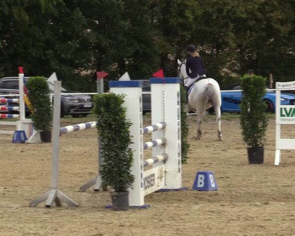 Reitturnier Menden 2019
