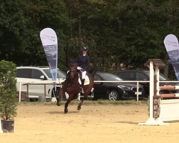 Reitturnier Menden 2019