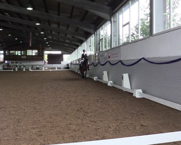 Reitturnier Münster-Albachten 2019