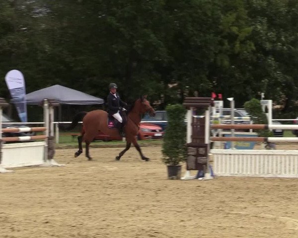 Reitturnier Menden 2019