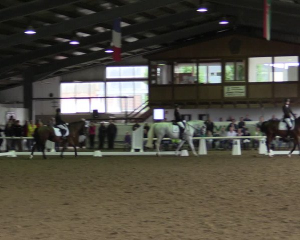 Reitturnier Münster-Albachten 2019