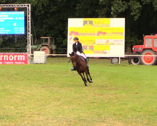 Reitturnier Wulkow 2019