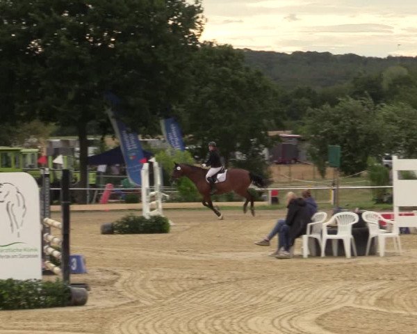 Reitturnier Menden 2019