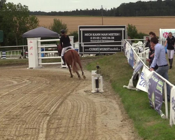 Reitturnier Menden 2019