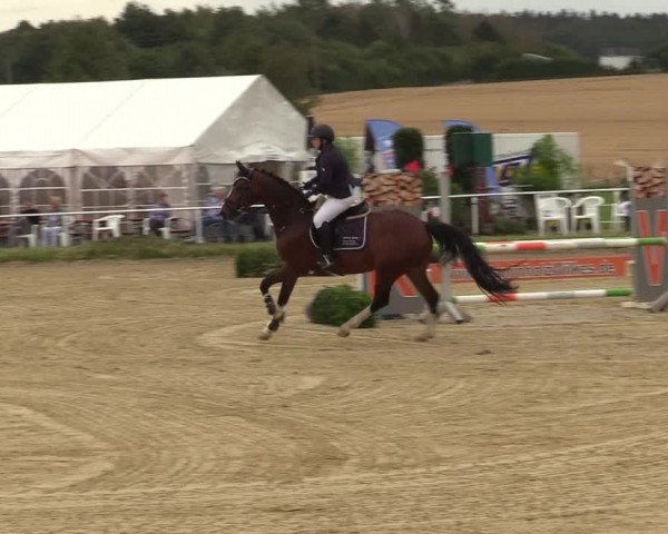 Reitturnier Menden 2019