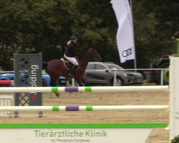 Reitturnier Menden 2019