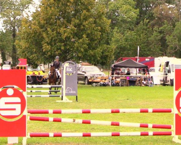 Reitturnier Wulkow 2019