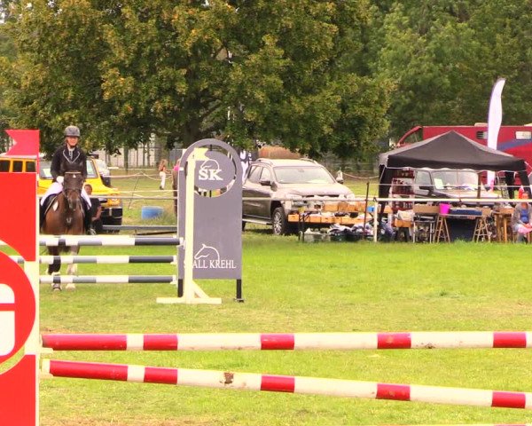 Reitturnier Wulkow 2019