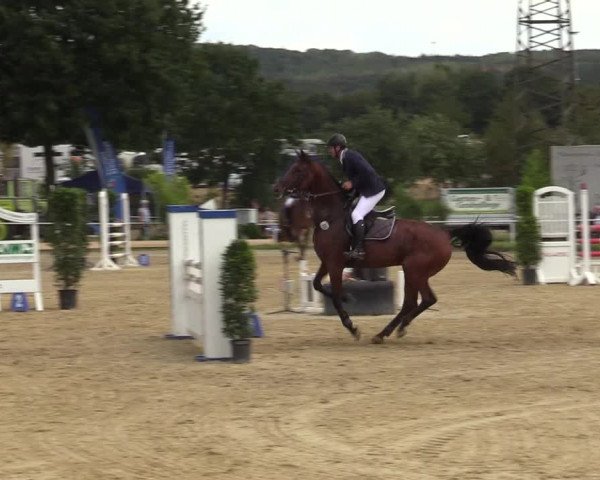 Reitturnier Menden 2019