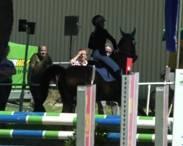 Reitturnier Memmingen/Schw. 2019