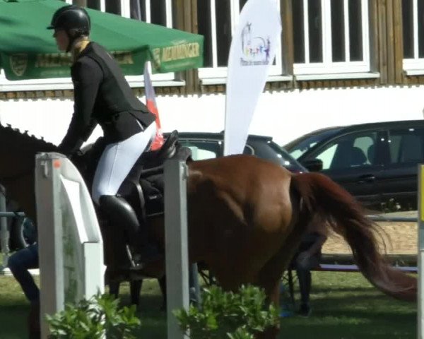 Reitturnier Memmingen/Schw. 2019