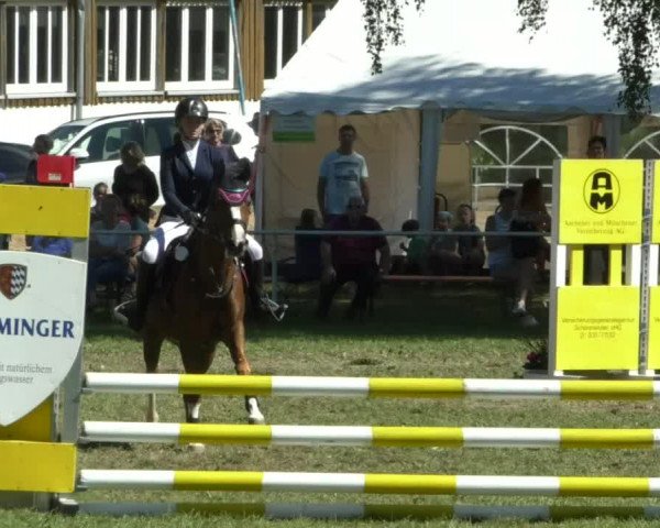 Reitturnier Memmingen/Schw. 2019