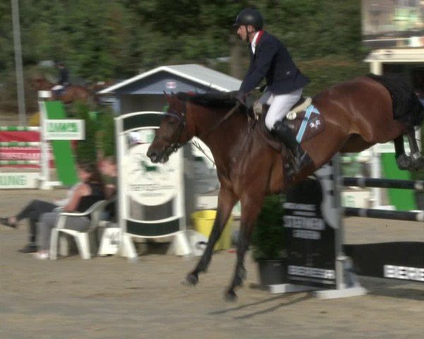 Reitturnier Münster-Albachten 2019