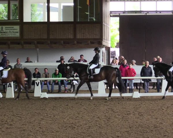 Reitturnier Münster-Albachten 2019