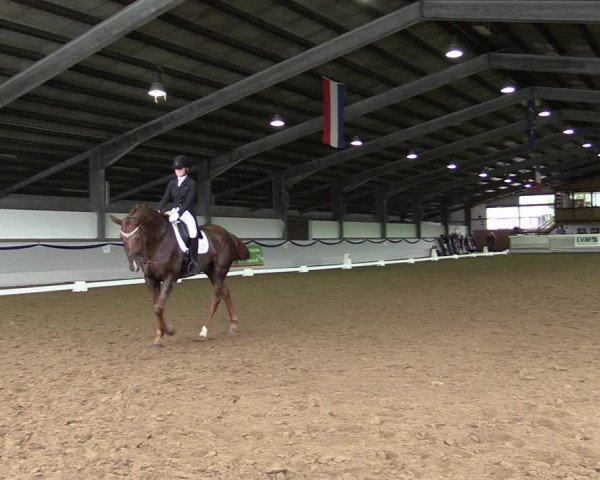 Reitturnier Münster-Albachten 2019