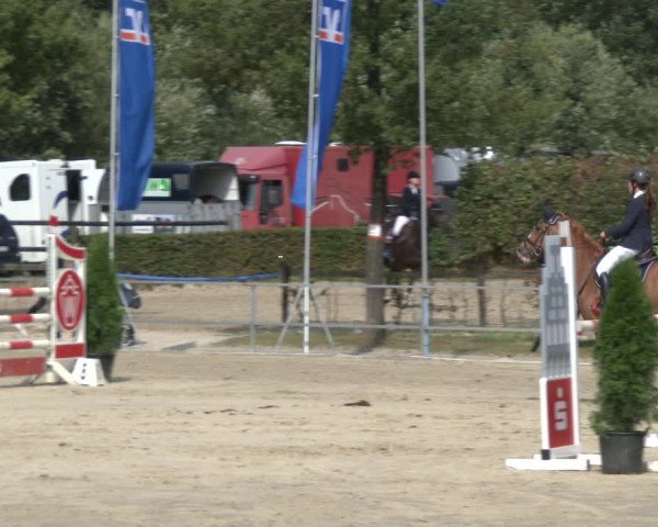 Reitturnier Münster-Albachten 2019