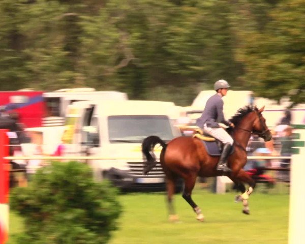 Reitturnier Wulkow 2019