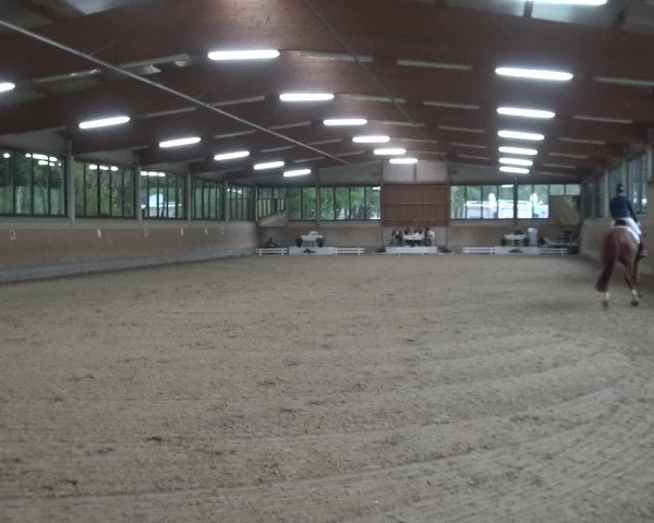 Reitturnier Bergisch Classics - Hebborner Hof 2019