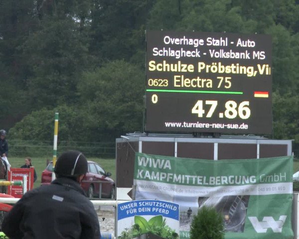 Reitturnier Münster-Albachten 2019