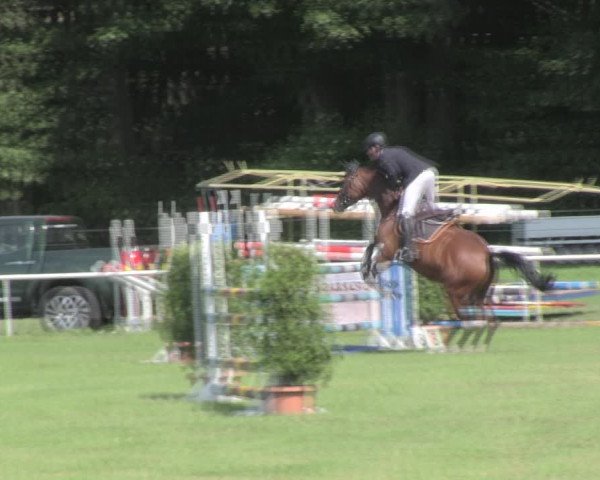 Reitturnier Wulkow 2019