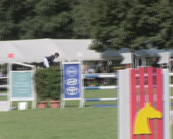 Reitturnier Wulkow 2019