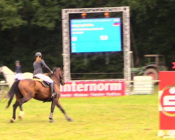 Reitturnier Wulkow 2019