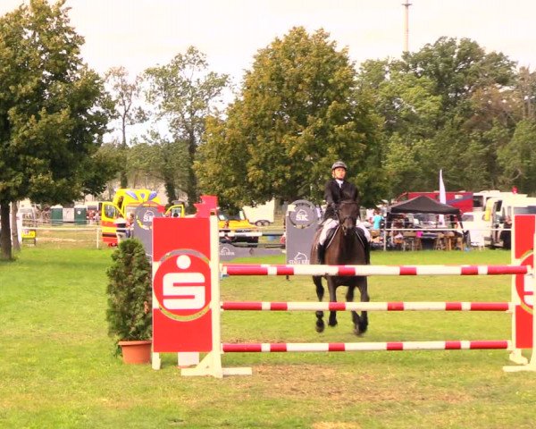 Reitturnier Wulkow 2019