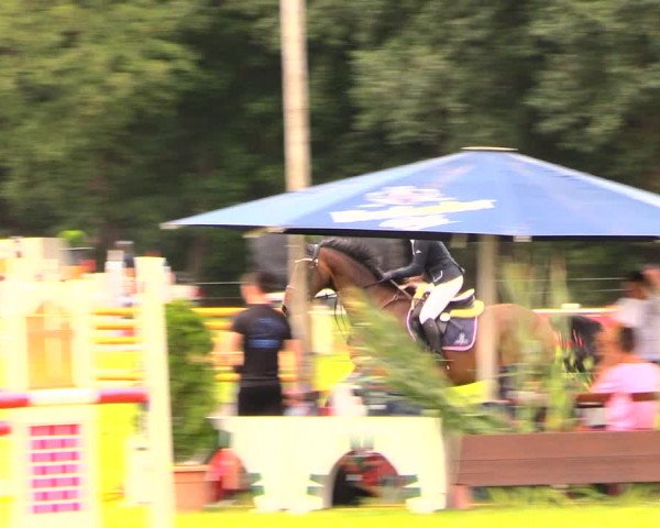 Reitturnier Wulkow 2019