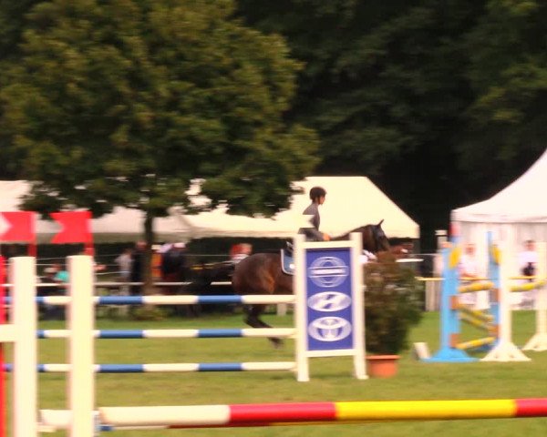 Reitturnier Wulkow 2019
