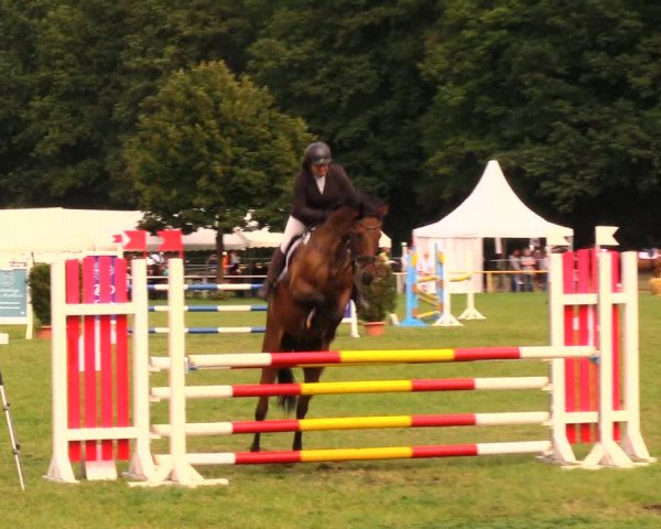 Reitturnier Wulkow 2019