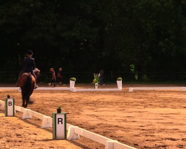 Reitturnier Wulkow 2019
