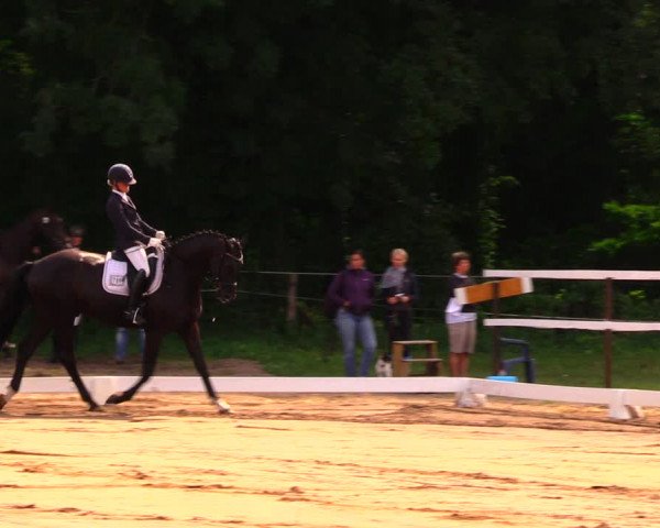 Reitturnier Wulkow 2019