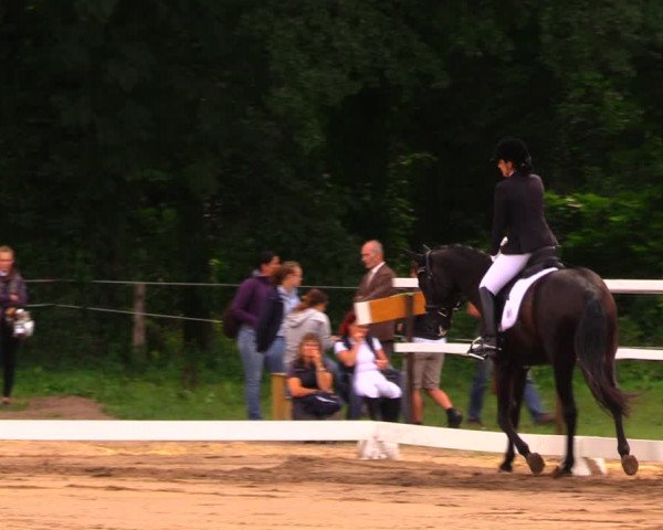 Reitturnier Wulkow 2019