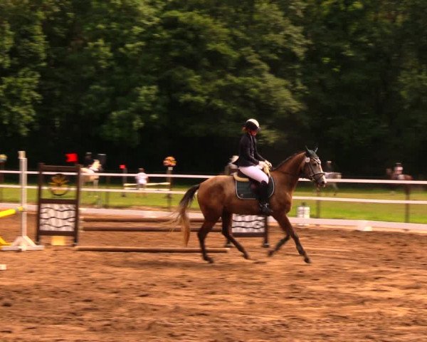 Reitturnier Wulkow 2019