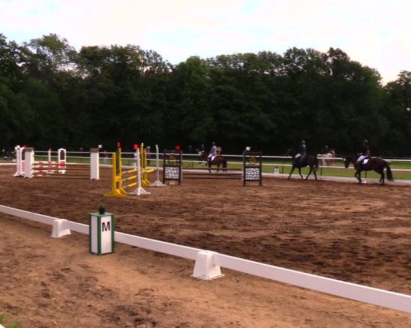 Reitturnier Wulkow 2019