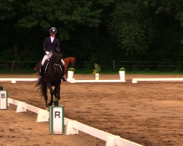 Reitturnier Wulkow 2019