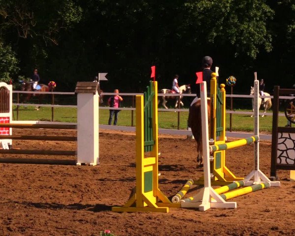 Reitturnier Wulkow 2019