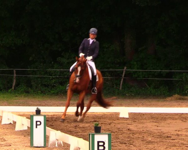 Reitturnier Wulkow 2019
